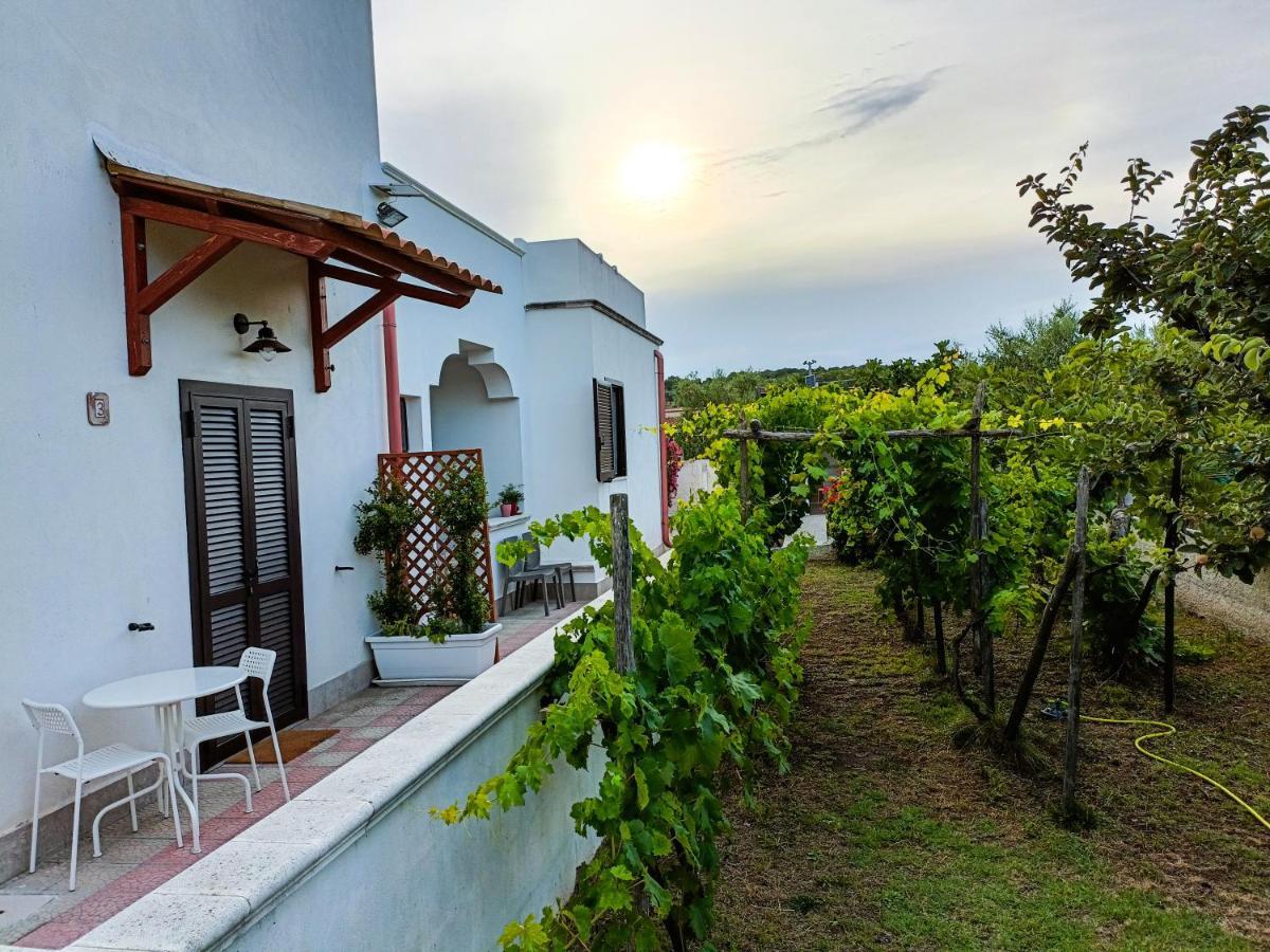 Il Giunco B&B Vieste Luaran gambar