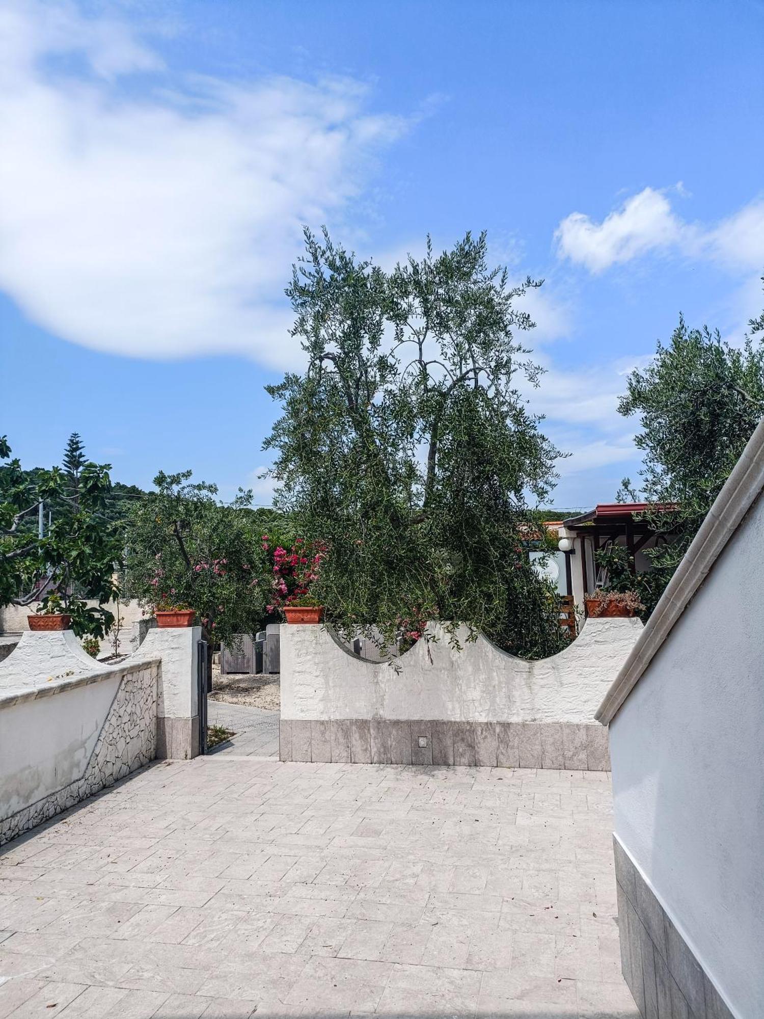 Il Giunco B&B Vieste Luaran gambar