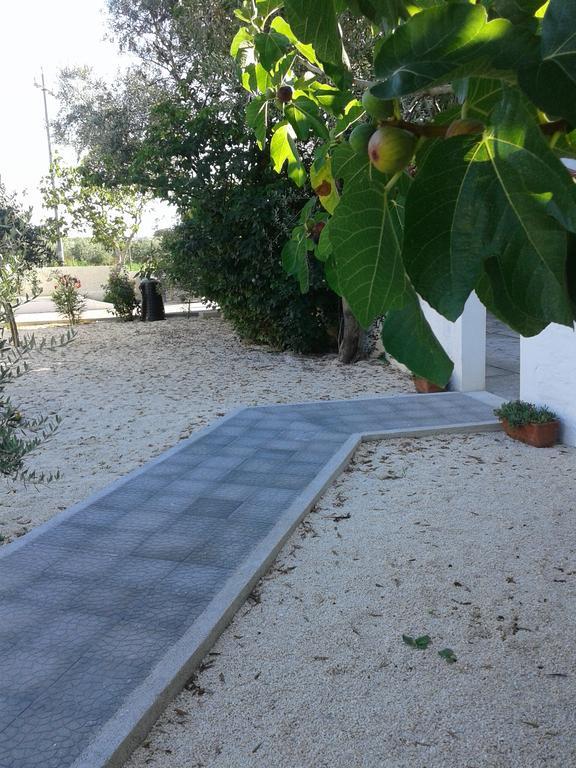 Il Giunco B&B Vieste Luaran gambar
