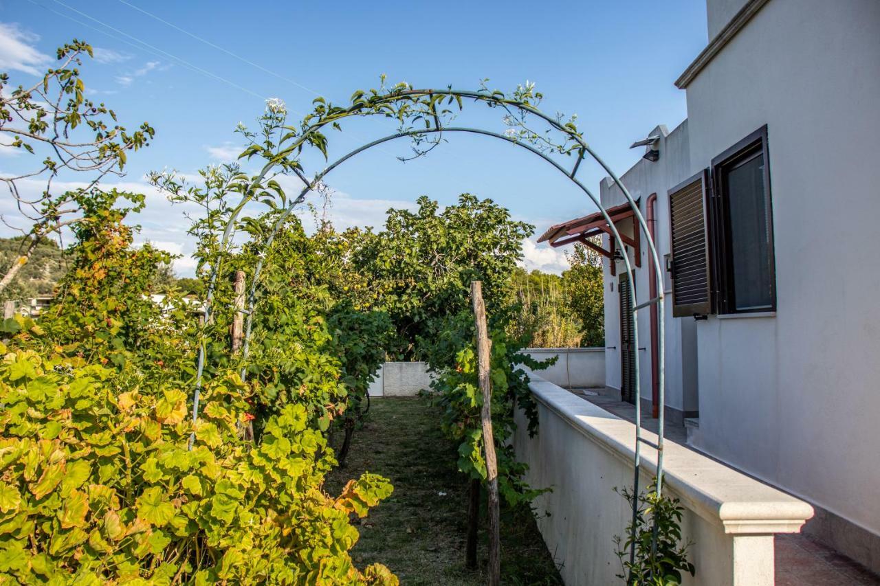 Il Giunco B&B Vieste Luaran gambar
